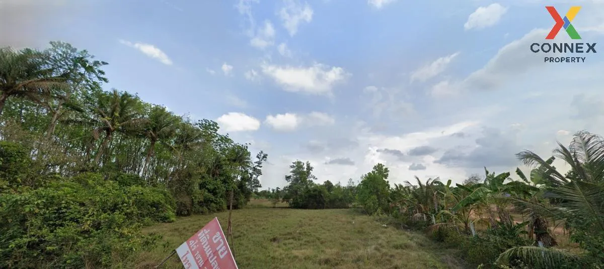 For Sale 4 rai of land, opposite Sd Express Hat Yai. , Tha Chang  1