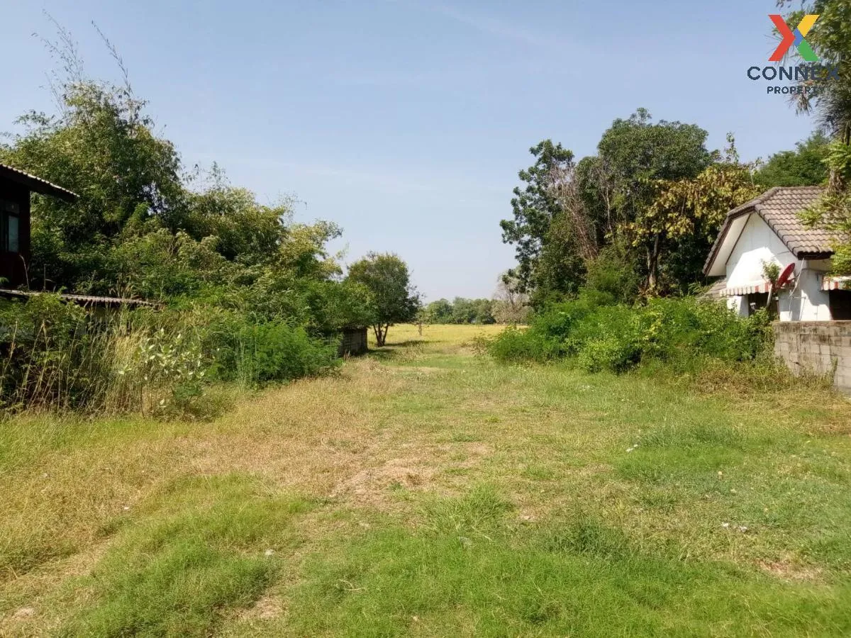 ขายที่ดินเปล่า ถ.ปัทมานนท์ ซ.10 รอบเมือง เมืองร้อยเอ็ด ร้อยเอ็ด C ขายที่ดินเปล่า ถ.ปัทมานนท์ ซ.10 รอบเมือง เมืองร้อยเอ็ด ร้อยเอ็ด C 2