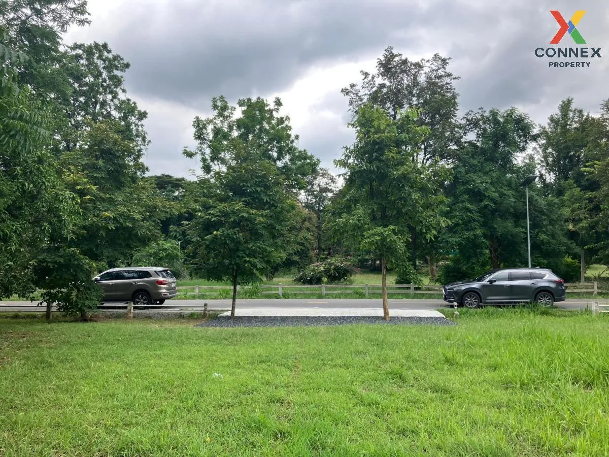 ขายที่ดิน มวกเหล็กวัลเลย์ 2 แปลงติดกันสวย พิกัดใกล้ โรงเรียนนายเร ขายที่ดิน มวกเหล็กวัลเลย์ 2 แปลงติดกันสวย พิกัดใกล้ โรงเรียนนายเร 2