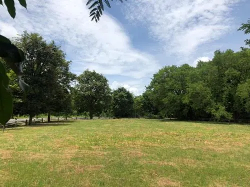 ขายที่ดิน มวกเหล็กวัลเลย์ 2 แปลงติดกันสวย พิกัดใกล้ โรงเรียนนายเรืออากาศ อช.เขาใหญ่ มิตรภาพ มวกเหล็ก สระบุรี CX-110891