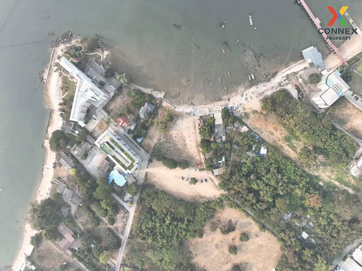 ขายที่ดินติดชายทะเล ตำบลบางพระ อำเภอศรีราชา จังหวัดชลบุรี บางพระ 