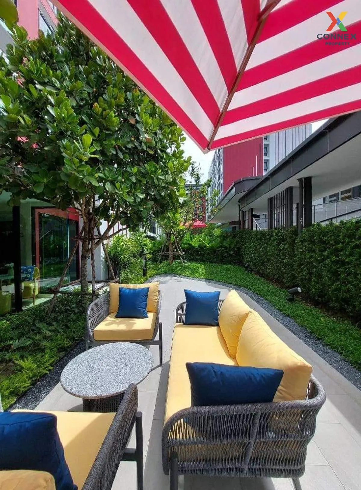 For Rent Condo ,  d condo hype rangsit , Khlong Nueng , khlong Lu 4