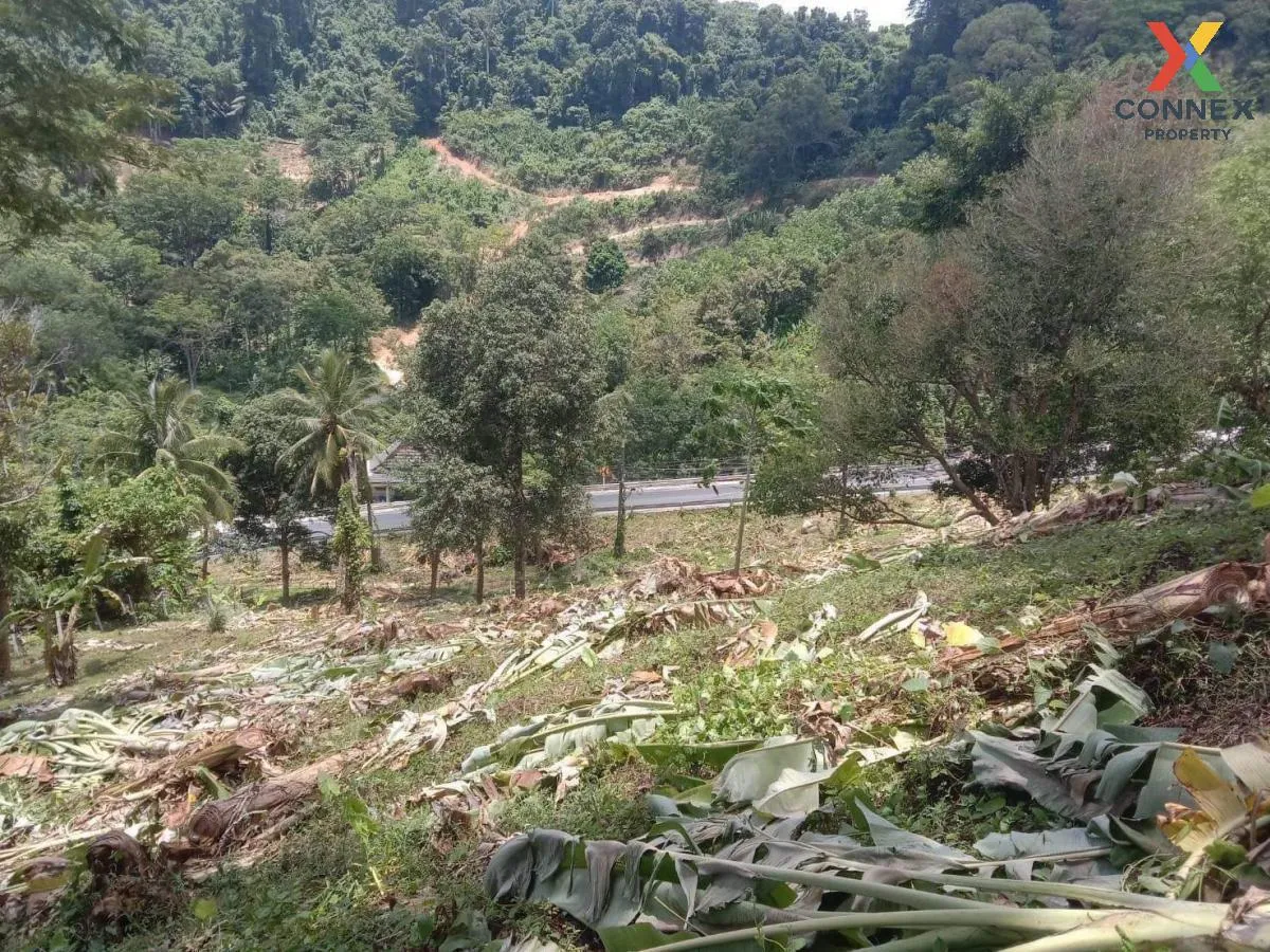 ขายที่ดิน ติดถนนเมน 4018 ใกล้หาดนายทอน 1.6 กม. สาคู ถลาง ภูเก็ต C 1