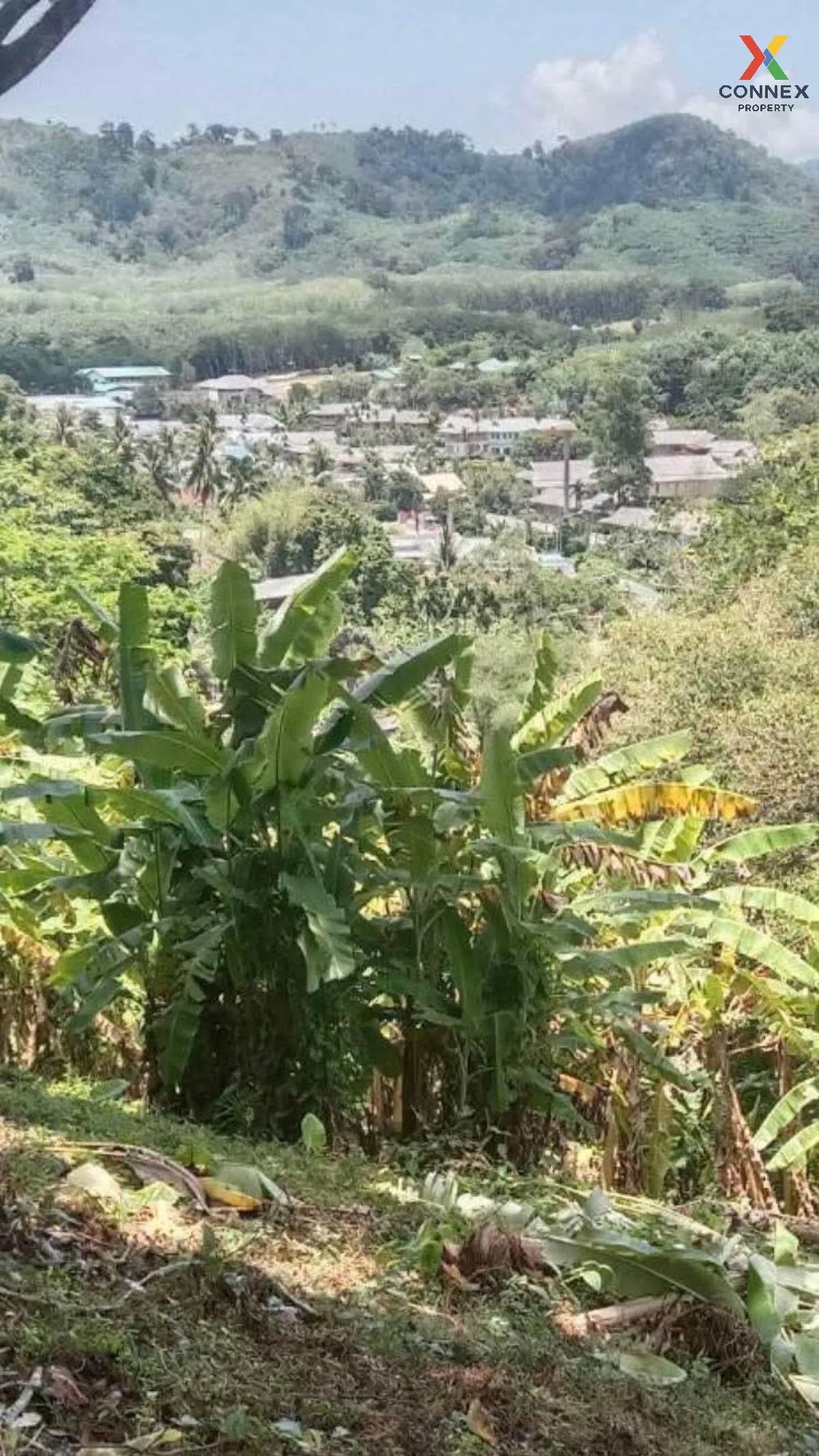 ขายที่ดิน ติดถนนเมน 4018 ใกล้หาดนายทอน 1.6 กม. สาคู ถลาง ภูเก็ต C 2