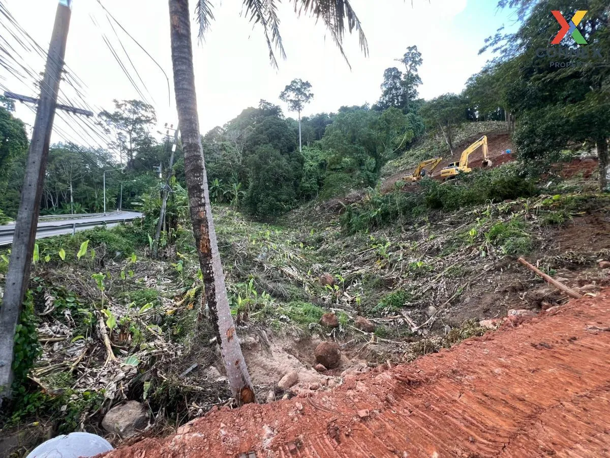 ขายที่ดิน ติดถนนเมน 4018 ใกล้หาดนายทอน 1.6 กม. สาคู ถลาง ภูเก็ต C 4