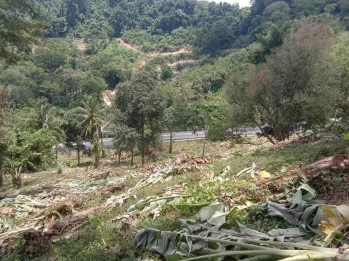 ขายที่ดิน ติดถนนเมน 4018 ใกล้หาดนายทอน 1.6 กม. สาคู ถลาง ภูเก็ต CX-111471