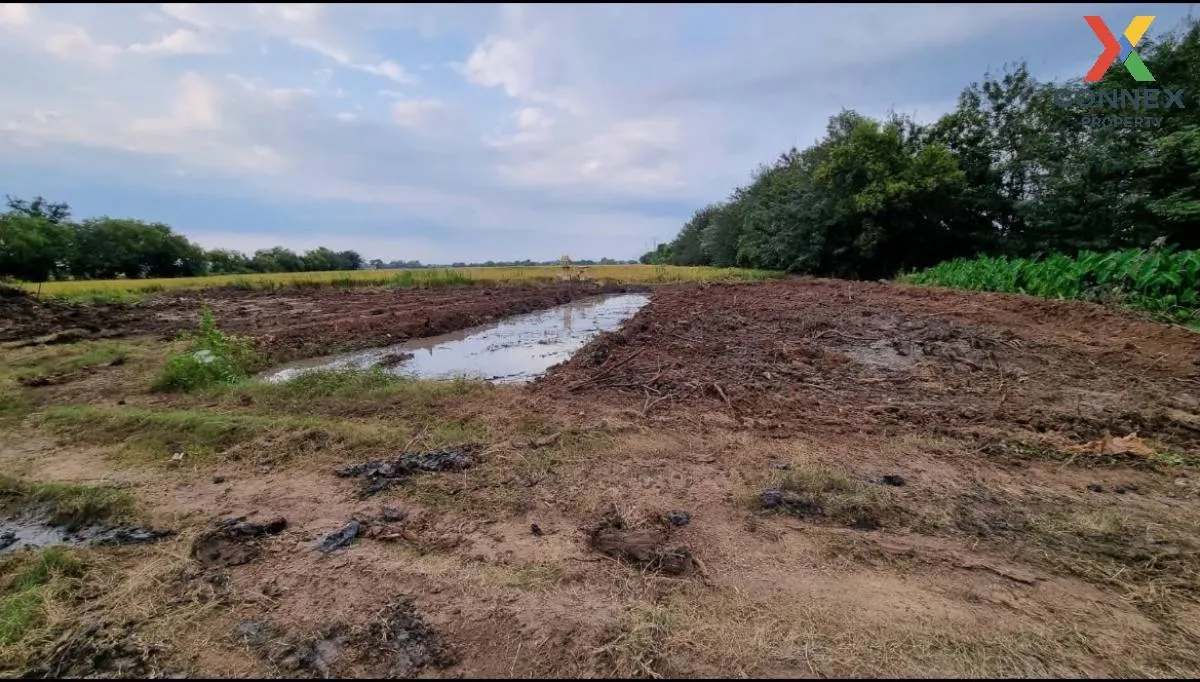 เช่าที่ดินเปล่า 61 ไร่ สระบุรี หนองแขม หนองแค สระบุรี CX-111502 2