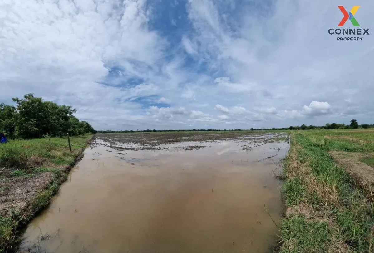 เช่าที่ดินเปล่า 61 ไร่ สระบุรี หนองแขม หนองแค สระบุรี CX-111502 4