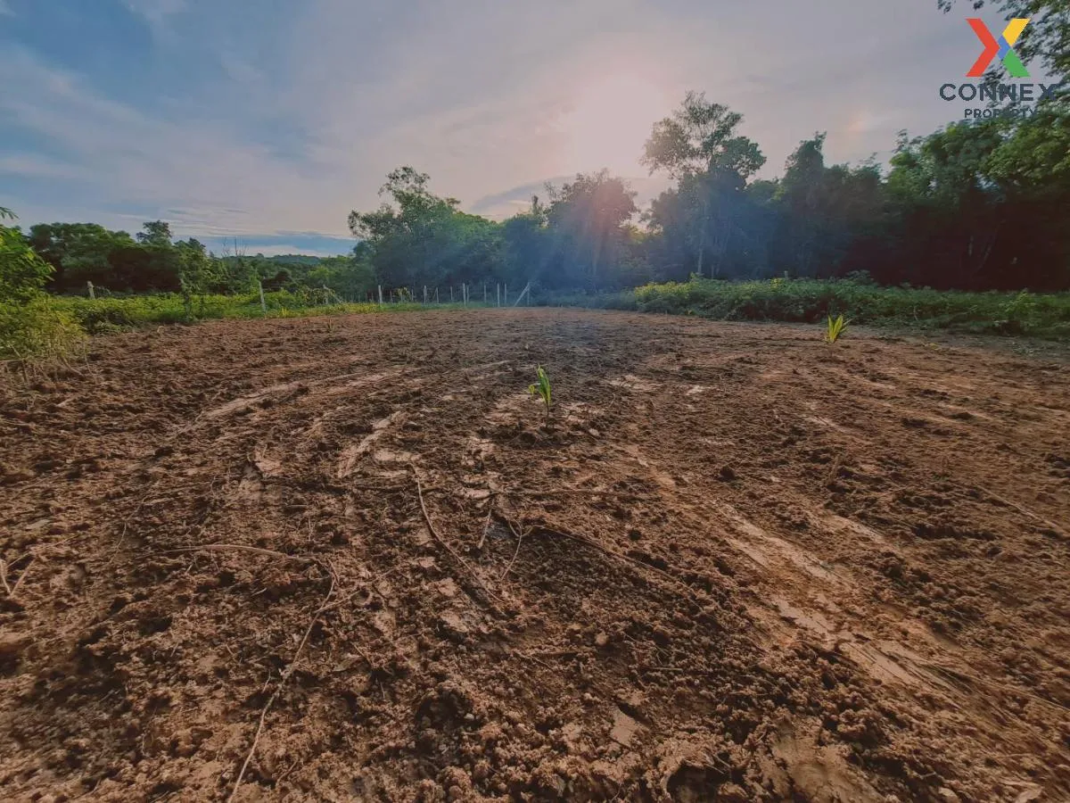 For Sale Empty land for sale on Koh Sirey , Ratsada , Mueang Phuk 2