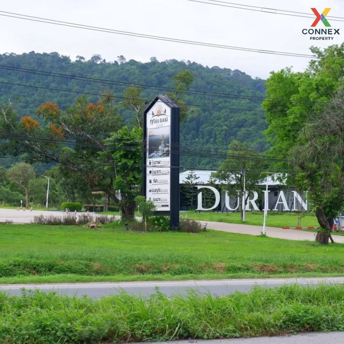 ขายสวนผลไม้เมืองจันท์ เนื้อที่  6 ไร่ 39 ตรว จันทบุรี - สระแก้ว ม ขายสวนผลไม้เมืองจันท์ เนื้อที่  6 ไร่ 39 ตรว จันทบุรี - สระแก้ว ม 4