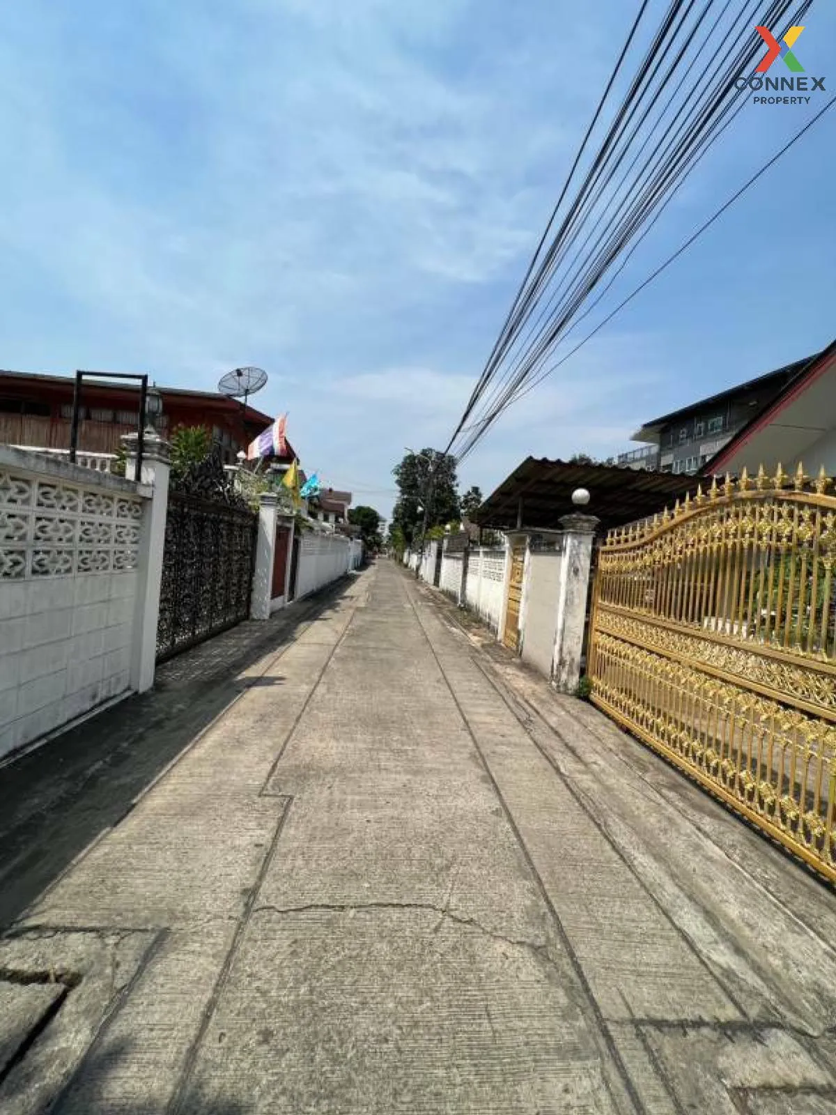 ขายที่ดินเปล่า บางศรีเมือง 49 นนทบุรี บางศรีเมือง เมืองนนทบุรี นน ขายที่ดินเปล่า บางศรีเมือง 49 นนทบุรี บางศรีเมือง เมืองนนทบุรี นน