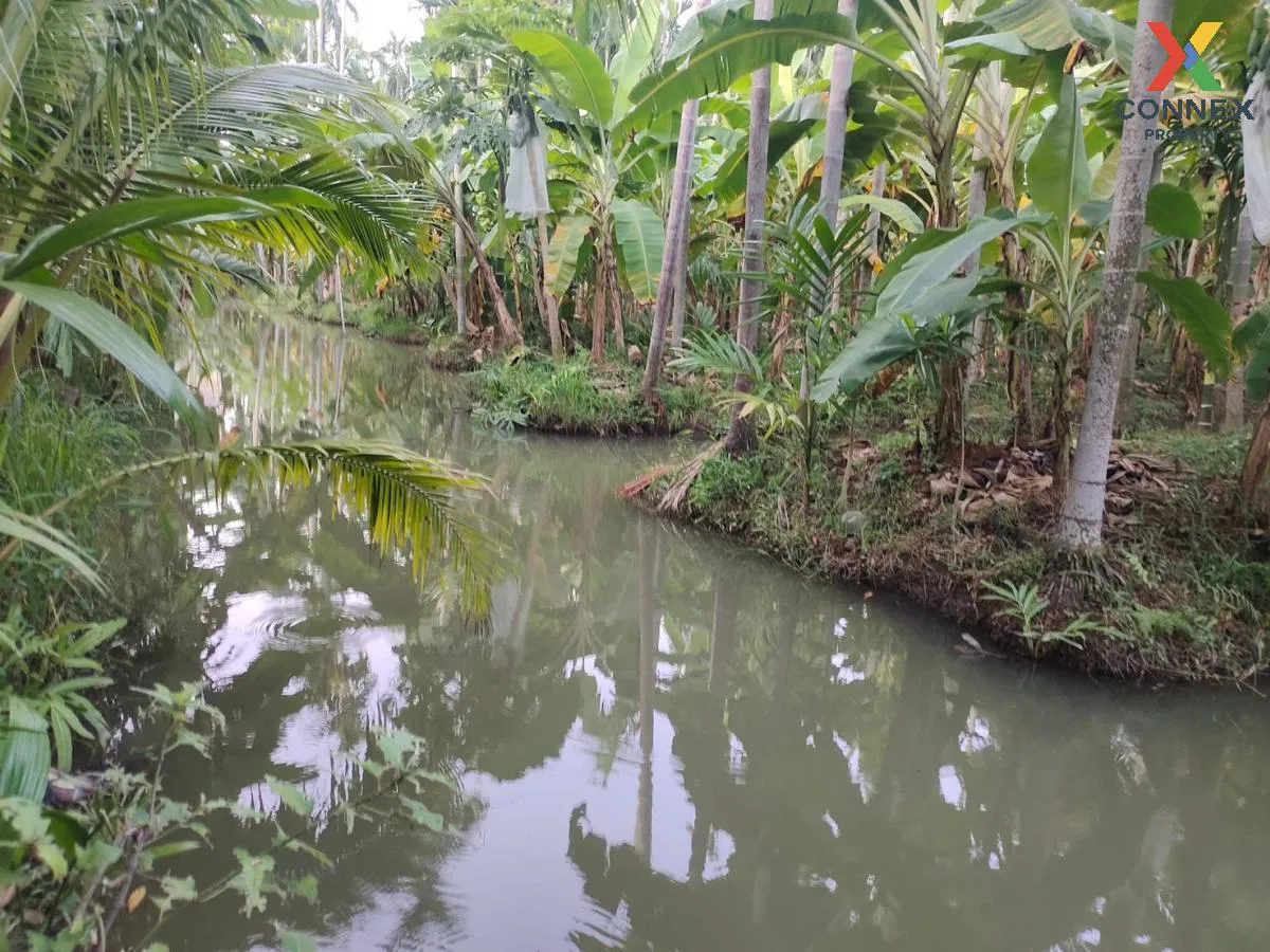 ขายที่ดินเปล่า ถนนไร่ขิง-ดอนหวาย ใกล้แหล่งท่องเที่ยว หอมเกร็ด สาม 1