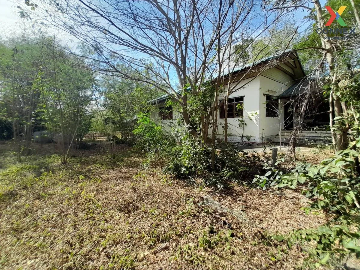 ขายบ้านเดี่ยว 1 ชั้น 3 อาคาร ขอนแก่น มัญจาคีรี กุดเค้า มัญจาคีรี  2