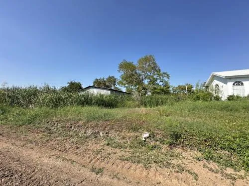 For Sale Vacant land , Bang Khayaeng , Mueang Pathum Thani , Pathum Thani , CX-113803