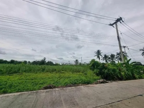 For Sale Empty land for sale, Sam Phran, 10 rai. , Sam Phran , Sam Phran , Nakhon Pathom , CX-113878
