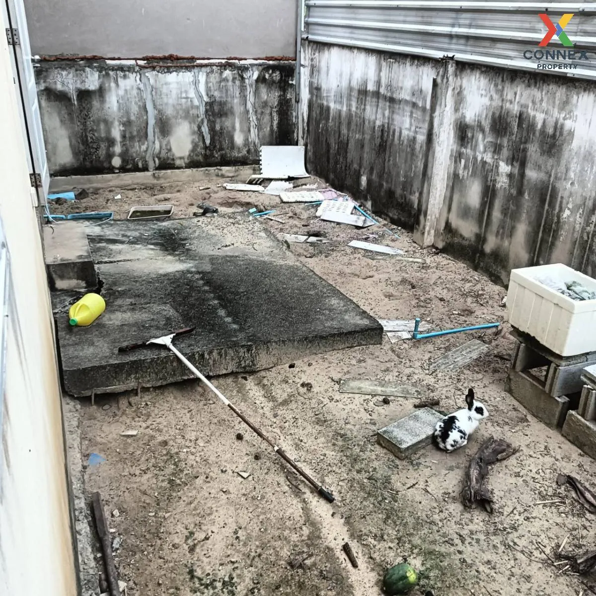 ขายบ้าน  ปัญญสิริย์ ลาดหลุมแก้ว ระแหง ลาดหลุมแก้ว ปทุมธานี CX-114