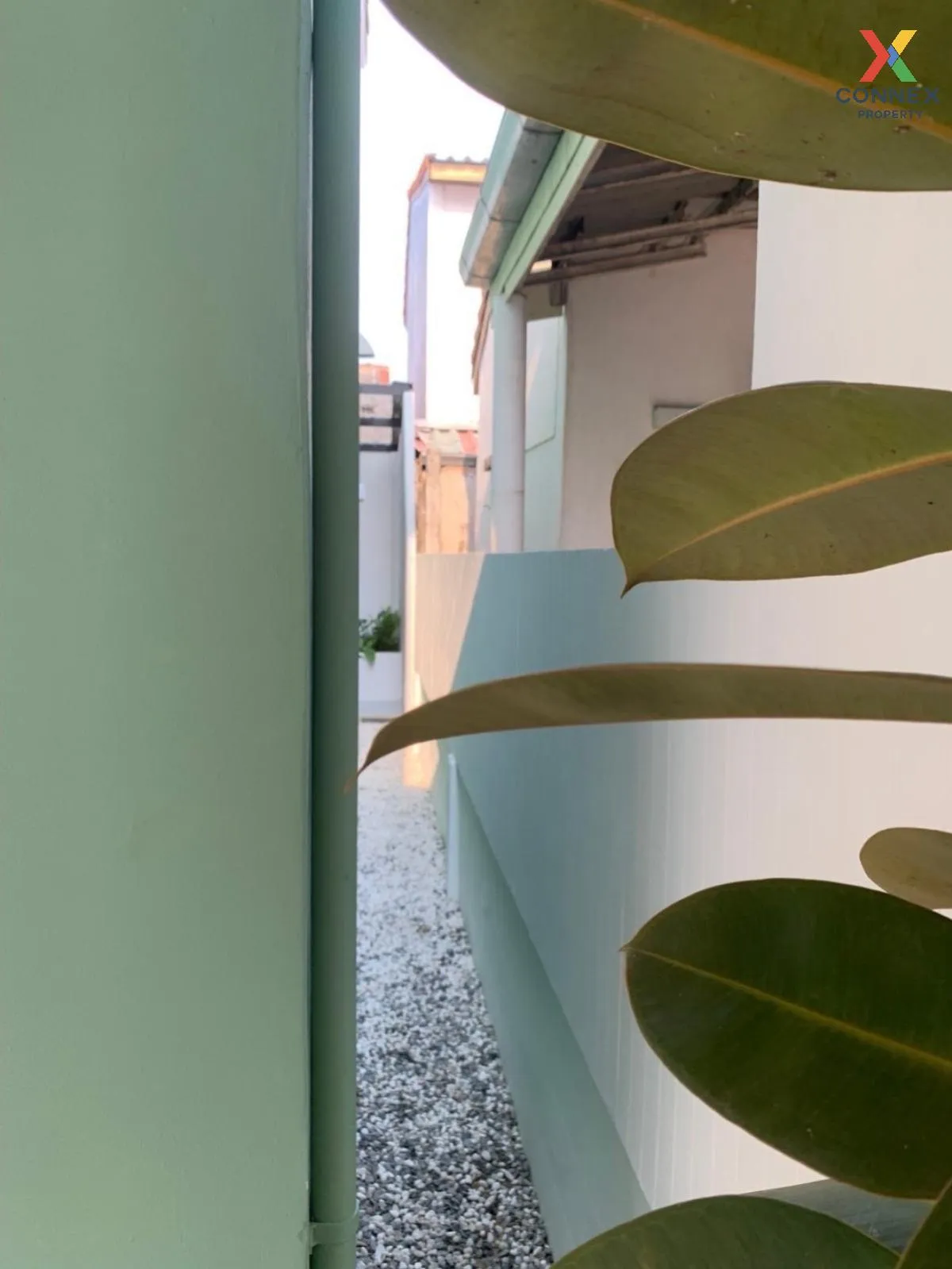 ขายทาวน์เฮ้าส์/ทาวน์โฮม  อมรทรัพย์ กระทุ่มราย เขต หนองจอก กรุงเทพ ขายทาวน์เฮ้าส์/ทาวน์โฮม  อมรทรัพย์ กระทุ่มราย เขต หนองจอก กรุงเทพ