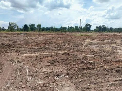 For Sale Empty land for sale Next to the road near the bus station, Chok Chai District. , Chok Chai , Chok Chai , Nakhon Ratchasima , CX-114910