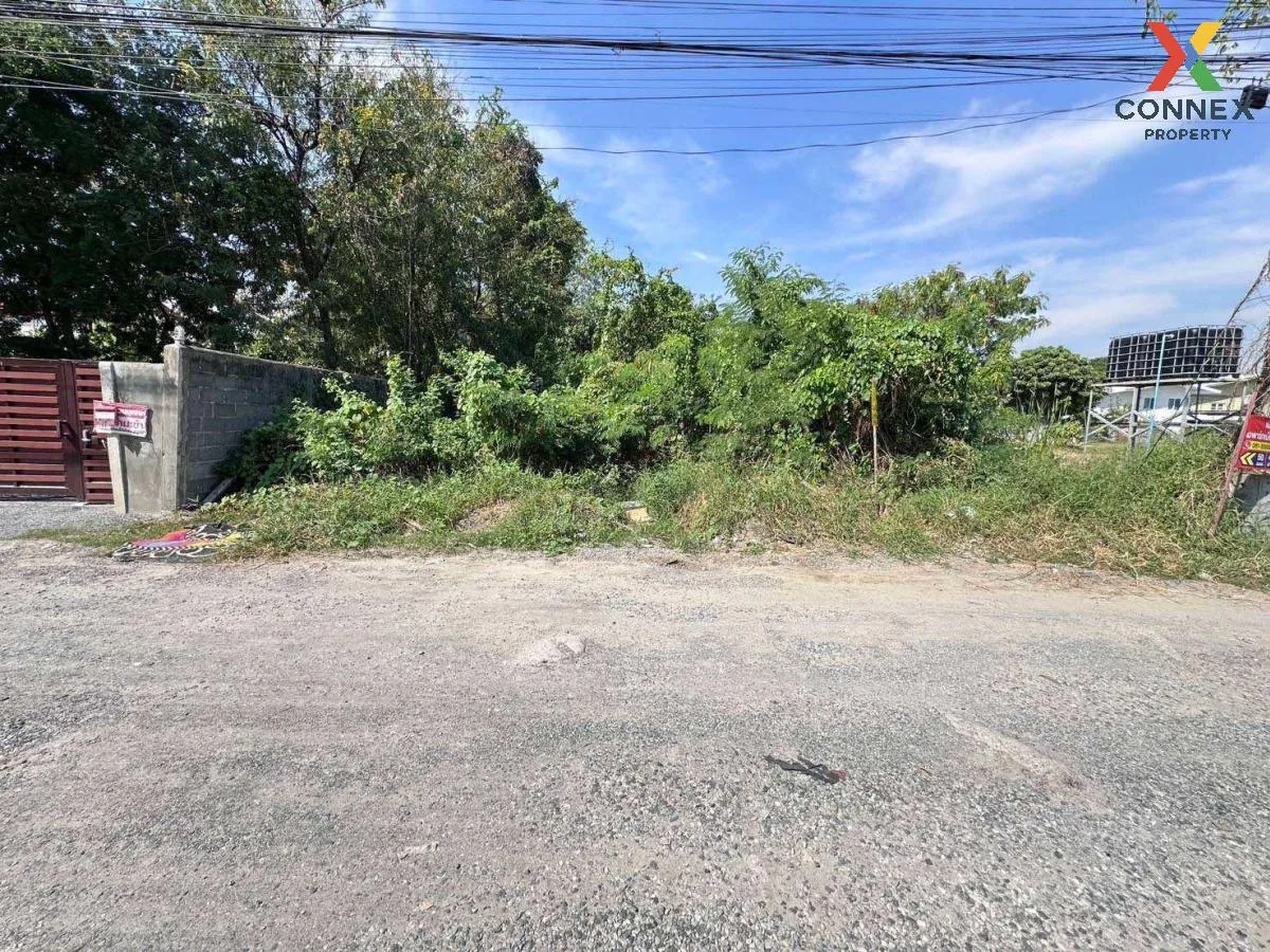 ขายขายที่ดินเปล่า ติดถนนสุขุมวิท บางนา เขต บางนา กรุงเทพ CX-11492 1