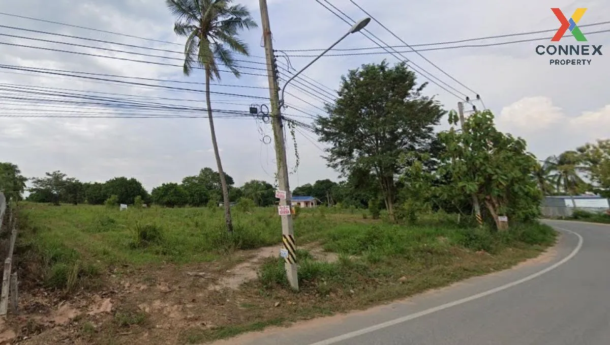 ขายที่ดินพัทยา ทุ่งกลมตาลหมัน 29 เมืองพัทยา บางละมุง ชลบุรี CX-11 1