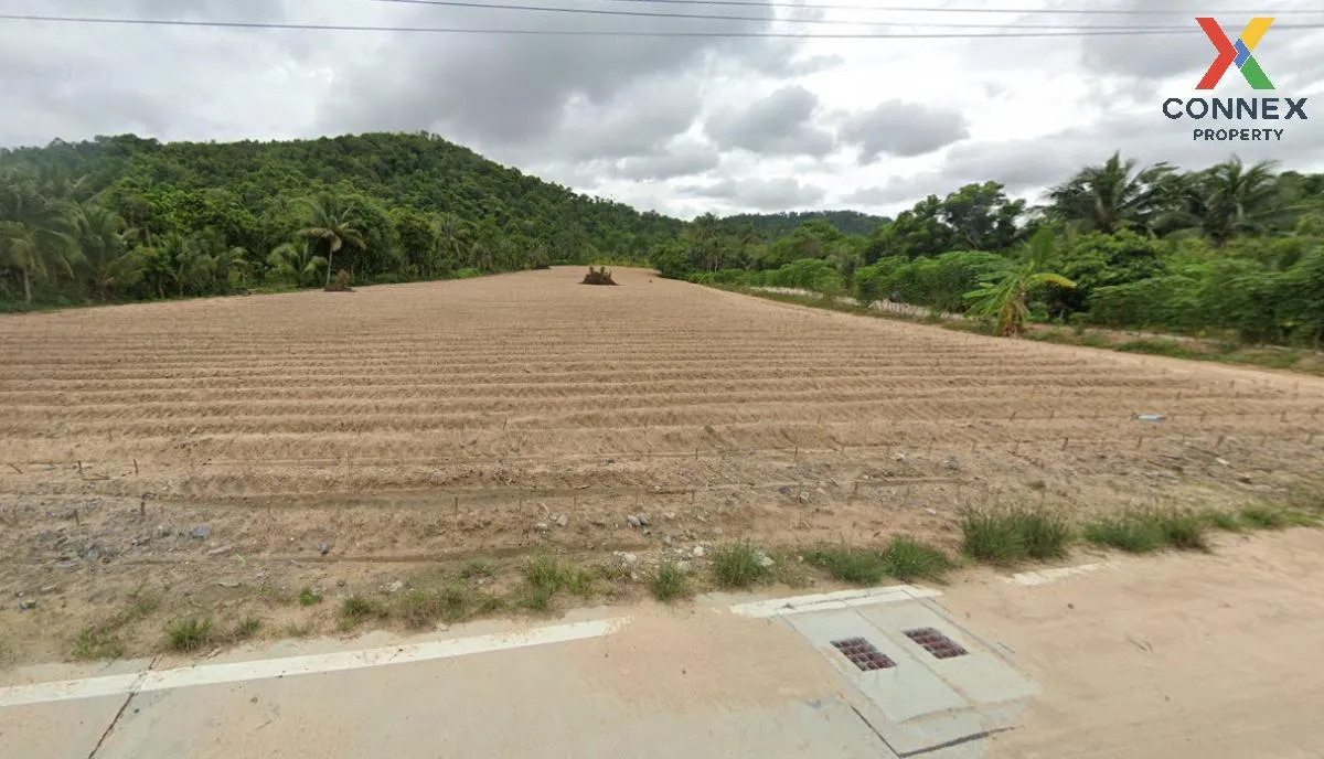 For Sale Land in a good location in Khao Khan Song. , Khao Khan S 1
