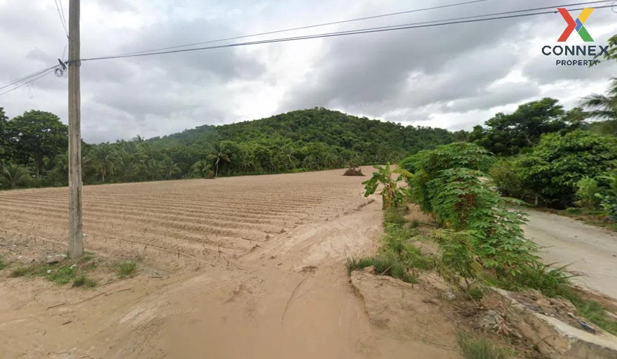 For Sale Land in a good location in Khao Khan Song. , Khao Khan S 2