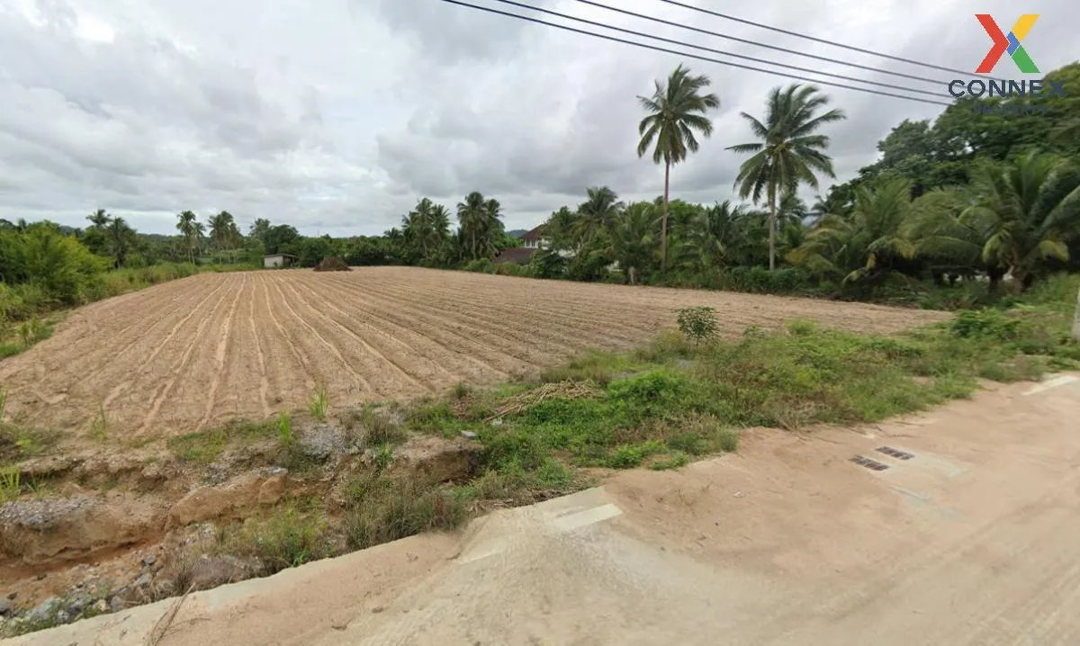 ขายที่ดินทำเลดีในเขาคันทรง เขาคันทรง ศรีราชา ชลบุรี CX-115359 1