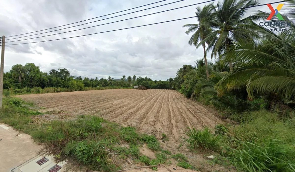 ขายที่ดินทำเลดีในเขาคันทรง เขาคันทรง ศรีราชา ชลบุรี CX-115359 3