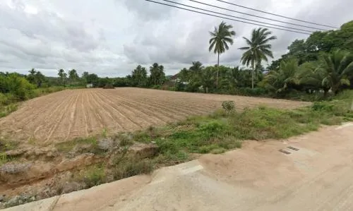 ขายที่ดินทำเลดีในเขาคันทรง เขาคันทรง ศรีราชา ชลบุรี CX-115359