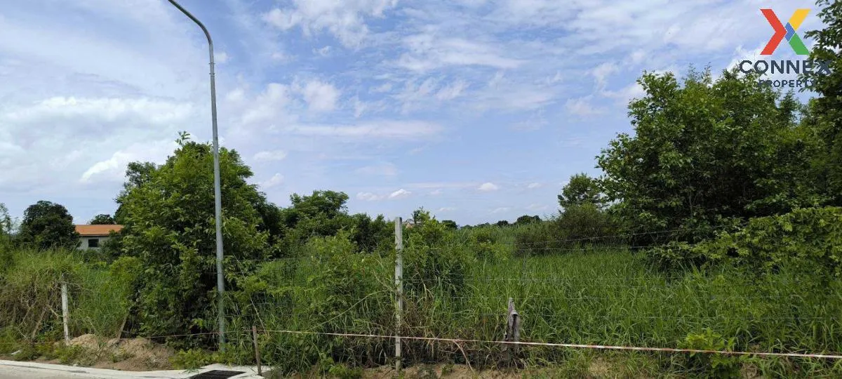 For Sale Land in Pathum Thani Province , Bang Prok , Mueang Pathu 1