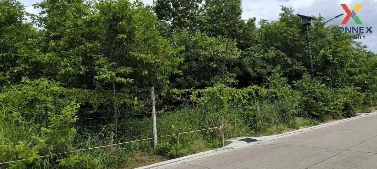 For Sale Land in Pathum Thani Province , Bang Prok , Mueang Pathu 2