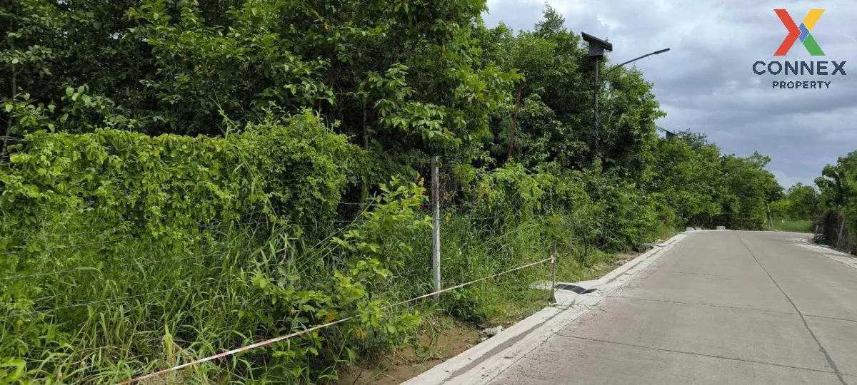 For Sale Land in Pathum Thani Province , Bang Prok , Mueang Pathu 4