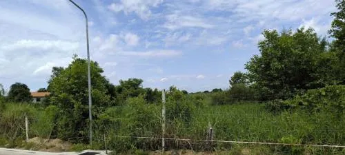 For Sale Land in Pathum Thani Province , Bang Prok , Mueang Pathum Thani , Pathum Thani , CX-115361