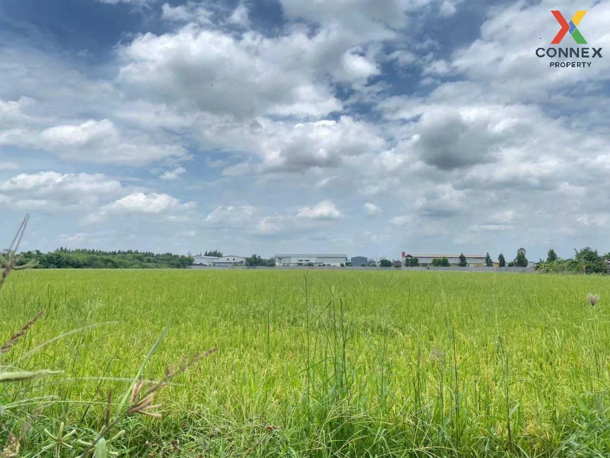 ขายที่ดินทำเลดีในสามโคก, ปทุมธานี ท้ายเกาะ สามโคก ปทุมธานี CX-115 2