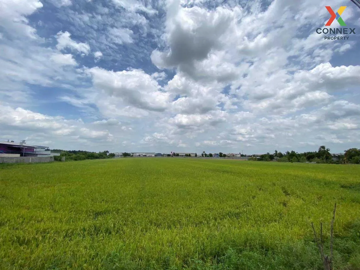 ขายที่ดินทำเลดีในสามโคก, ปทุมธานี ท้ายเกาะ สามโคก ปทุมธานี CX-115 3