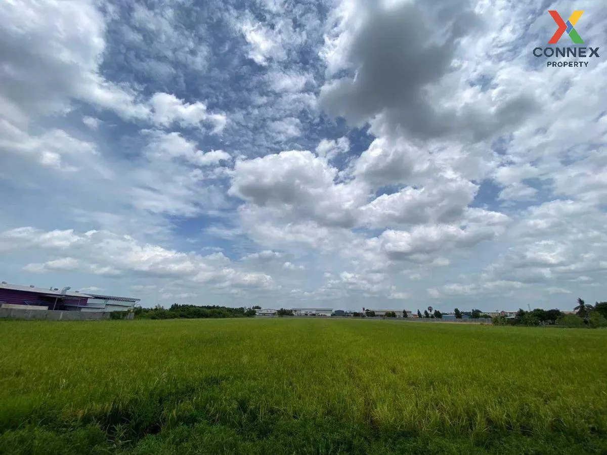 ขายที่ดินทำเลดีในสามโคก, ปทุมธานี ท้ายเกาะ สามโคก ปทุมธานี CX-115 4