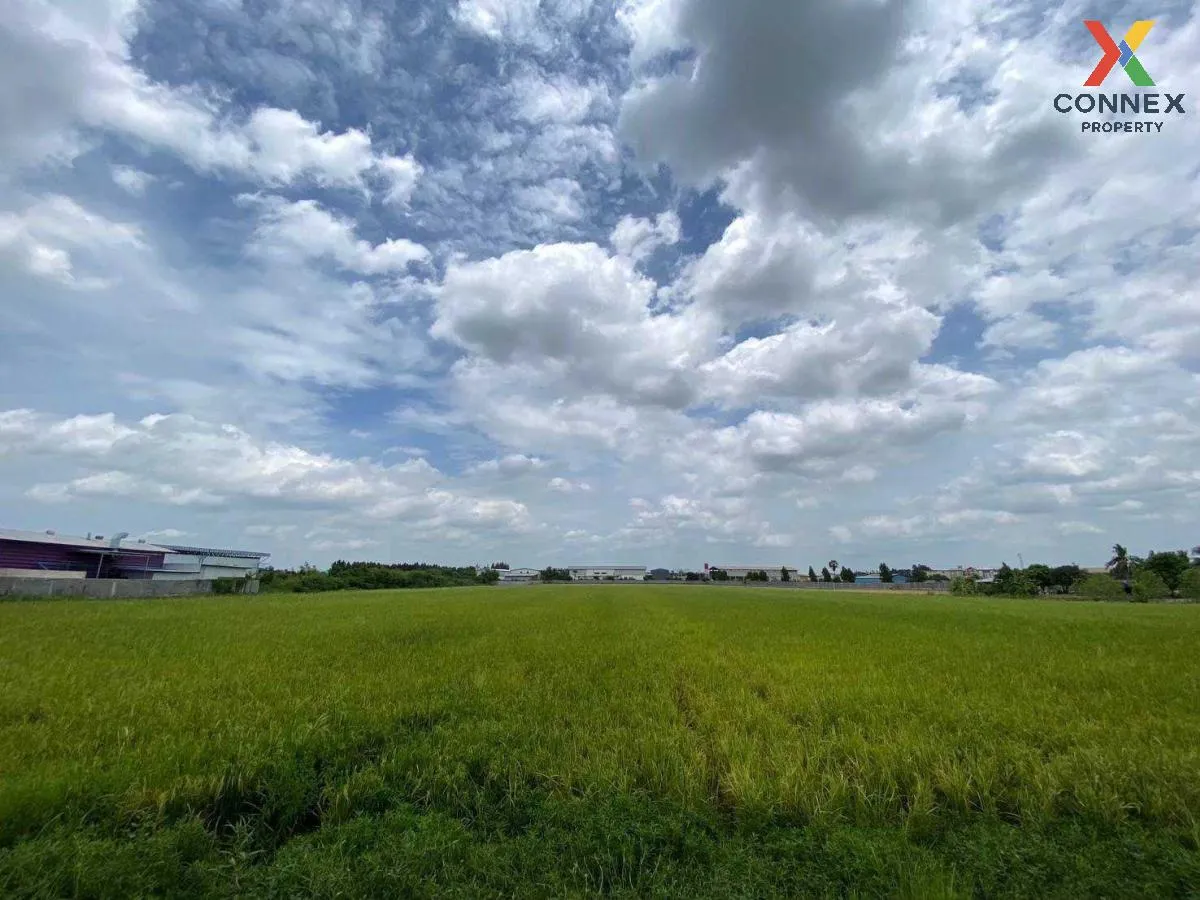 ขายที่ดินทำเลดีในสามโคก, ปทุมธานี ท้ายเกาะ สามโคก ปทุมธานี CX-115