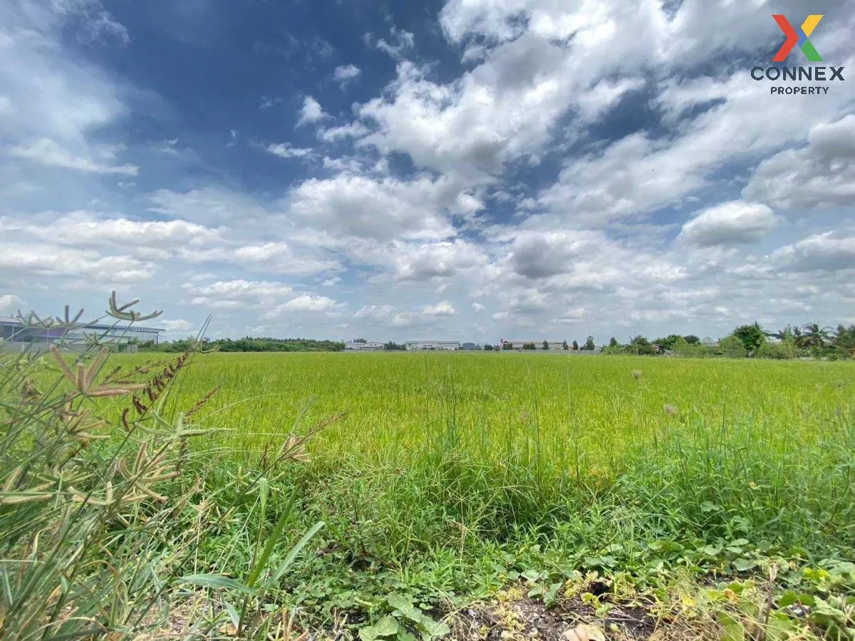 ขายที่ดินทำเลดีในสามโคก, ปทุมธานี ท้ายเกาะ สามโคก ปทุมธานี CX-115