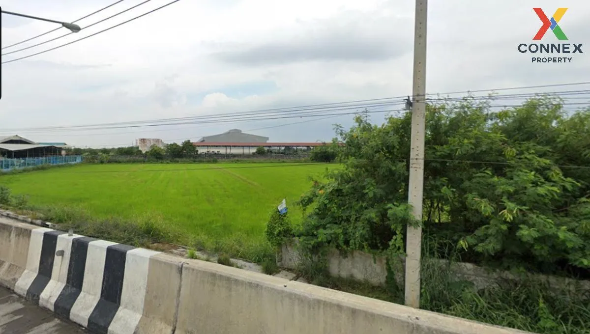 ขายที่ดินเปล่าสามโคก ปทุมธานี คลองควาย สามโคก ปทุมธานี CX-115366 3