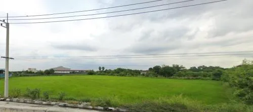 ขายที่ดินเปล่าสามโคก ปทุมธานี คลองควาย สามโคก ปทุมธานี CX-115366