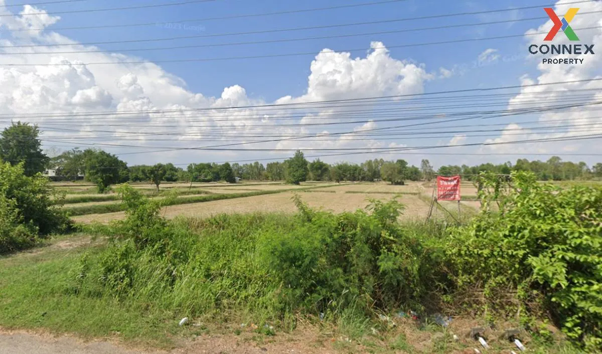 ขายที่ดินติดถนนมิตรภาพ, อุดรธานี หนองไผ่ เมืองอุดรธานี อุดรธานี C 1