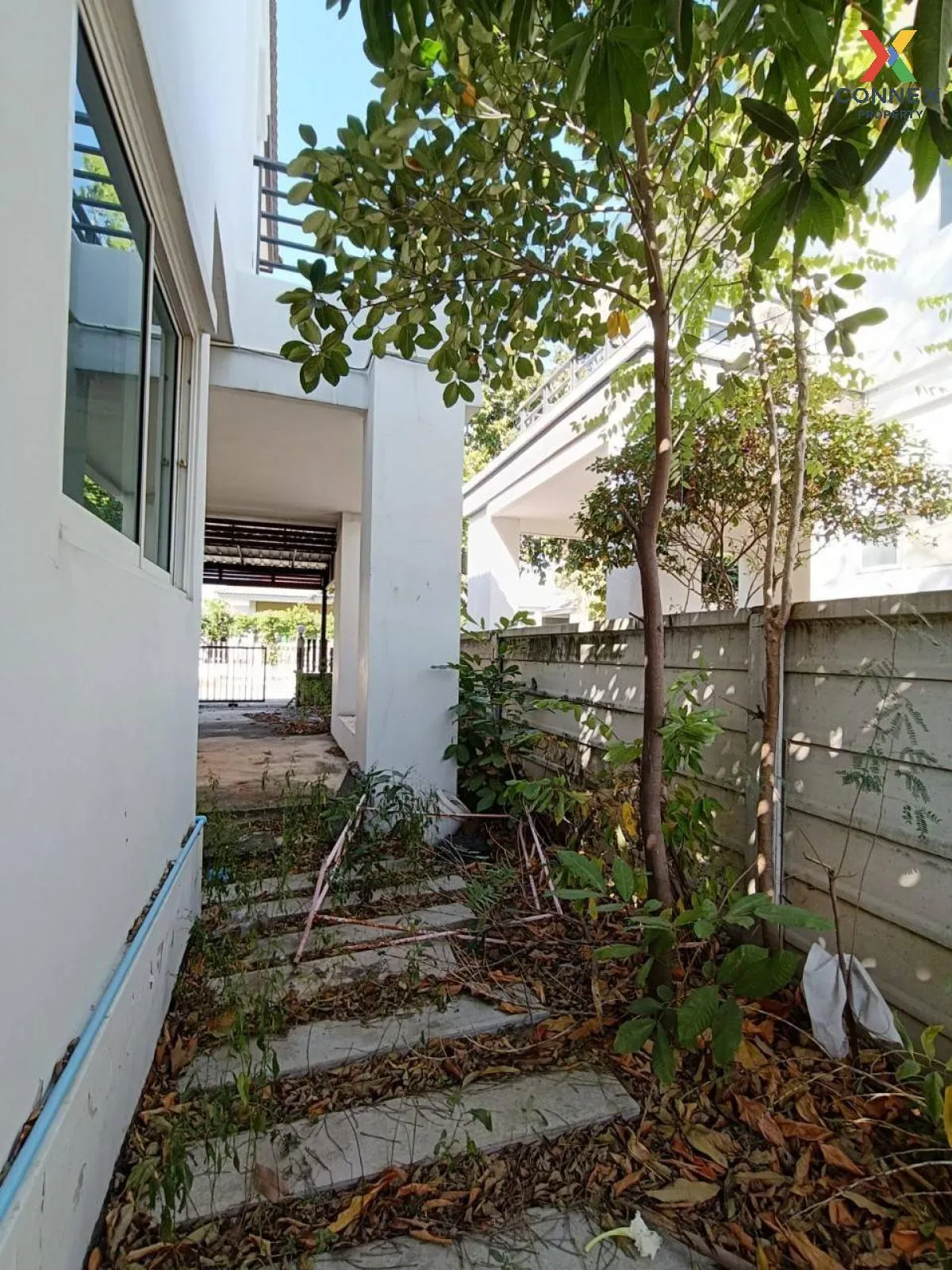 ขายบ้าน  กรีนนารา หนองแค หน้ากว้าง หนองปลิง หนองแค สระบุรี CX-115