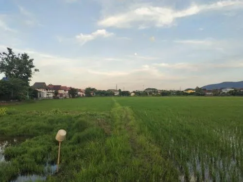 For Sale Vacant land in Mae Kon, Chiang Rai , Tha Sai , Mueang Chiang Rai , Chiang Rai , CX-115372