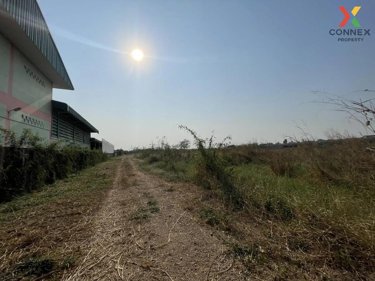 For Sale Empty land for sale along Rojana Road. , Lam Ta Sao , Wa 2