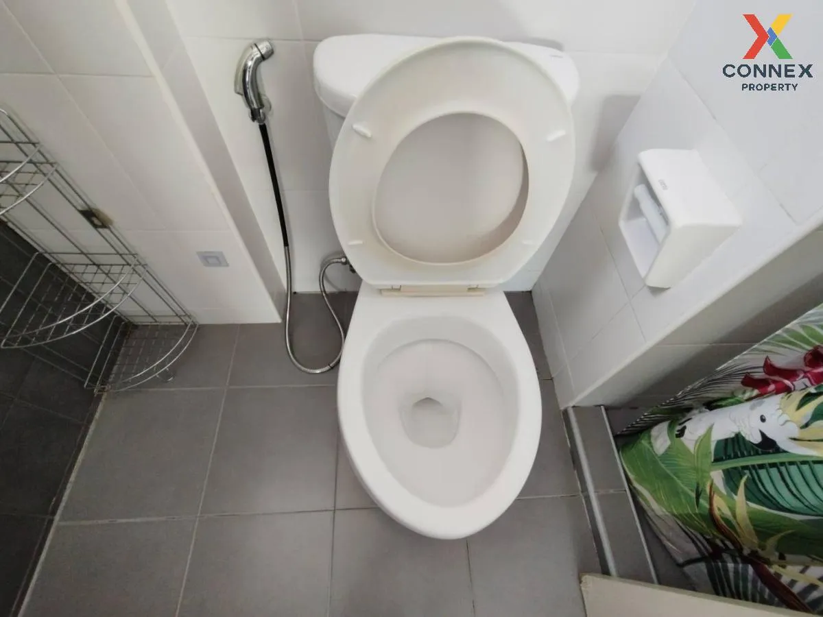 For Rent Condo , My Condo Sukhumvit 52 , BTS-On Nut , Bang Chak ,