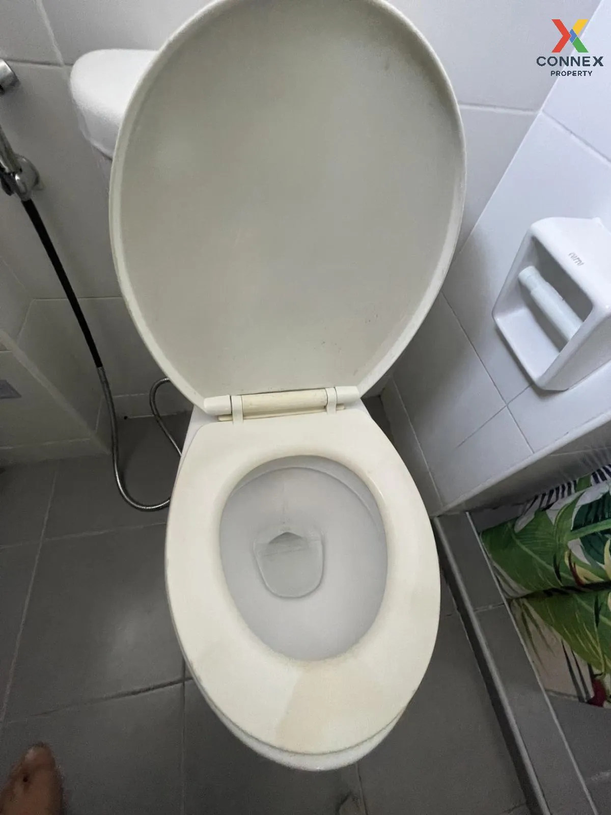 For Rent Condo , My Condo Sukhumvit 52 , BTS-On Nut , Bang Chak ,