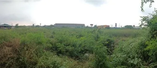 For Sale land 18 rai 2 ngan, Setthakit 1 Road Samut Sakhon , Tha Mai , Krathum Baen , Samut Sakhon , CX-116220