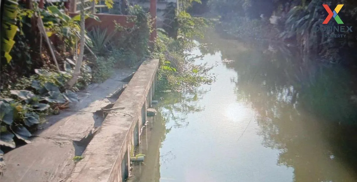 ขายบ้าน  ฉัตรหลวง 8 สามโคก สามโคก ปทุมธานี CX-116270 4