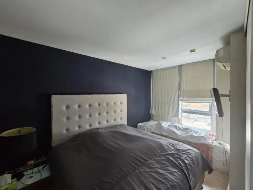 For Rent Condo , Tree Condo Sukhumvit 42 , BTS-Phra Khanong , Phra Khanong , Khlong Toei , Bangkok , CX-116271