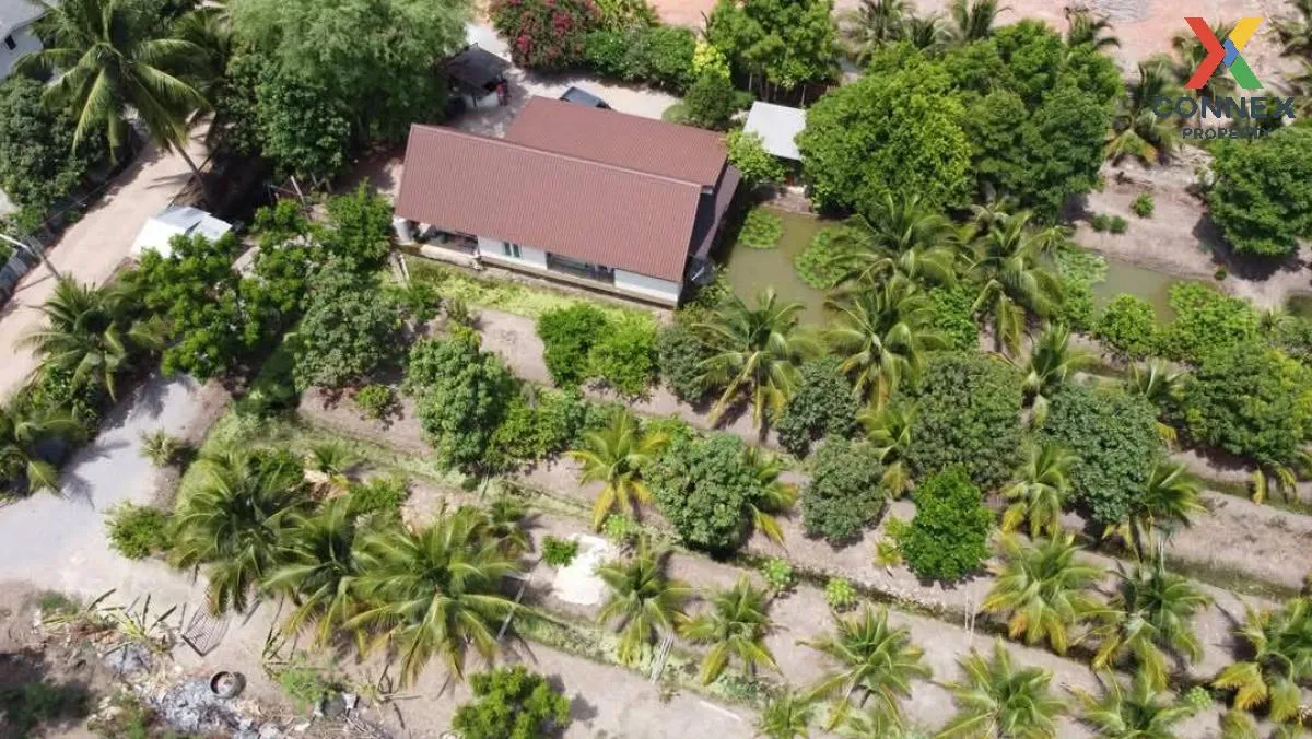 ขายบ้านพร้อมสวนมะพร้าว ราชบุรี คูบัว เมืองราชบุรี ราชบุรี CX-1171 2